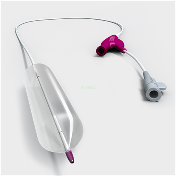 Resim Pulmonary Valvulaplasty Balloon Catheter