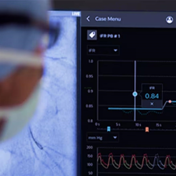 Resim Coronary Physidogy IFR FFR